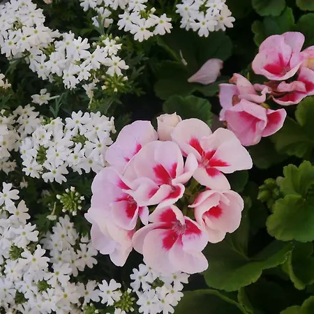 شقة إيتشرايج ون قن