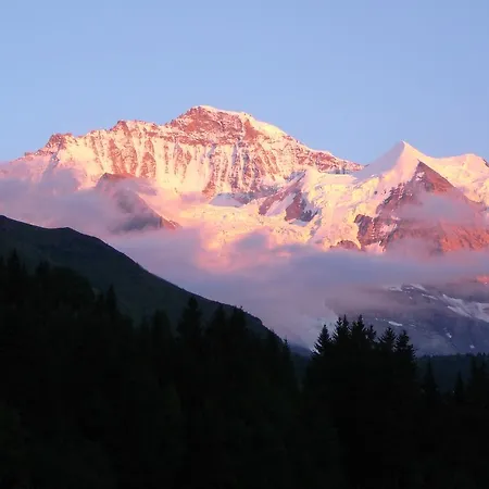 Acheregg Wengen