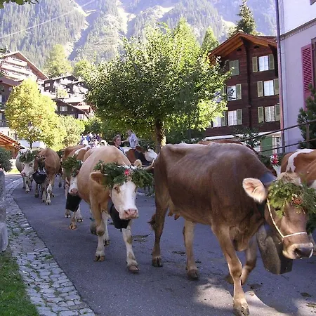 Apartment Acheregg *