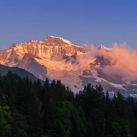 Acheregg Wengen