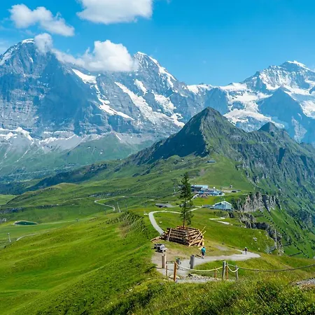 Acheregg Wengen
