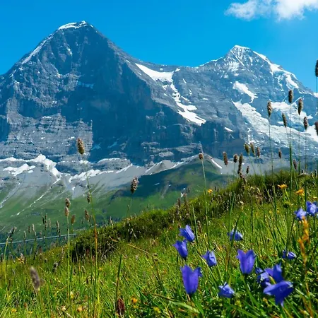 Acheregg Апартаменты