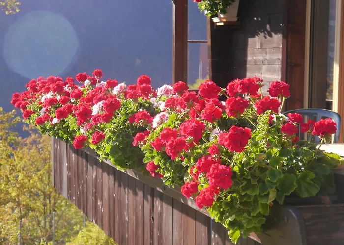 Acheregg Apartment Wengen