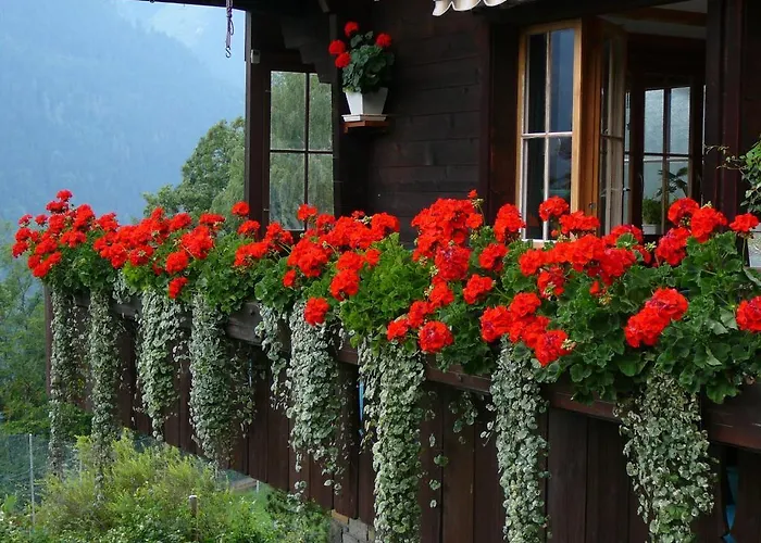 Acheregg Appartamento