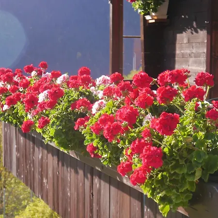 Acheregg 아파트 벤겐