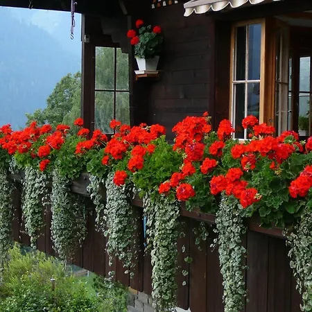 Acheregg Apartamento