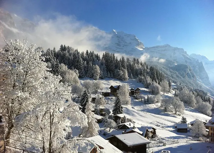 Acheregg Apartmán Wengen