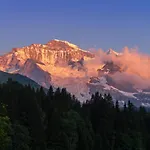 Acheregg 벤겐