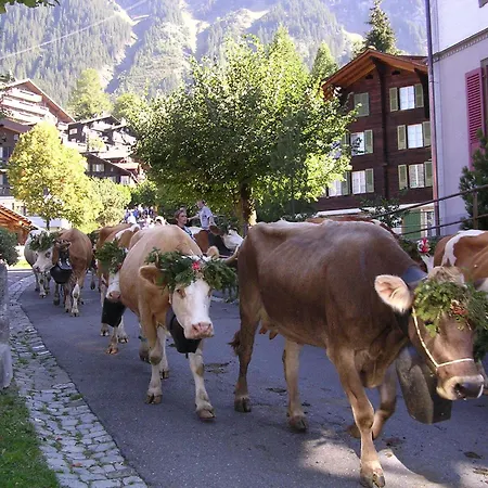 Appartement Acheregg *